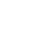 Buell motorcycle logo white