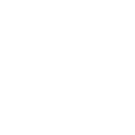anpost logo white